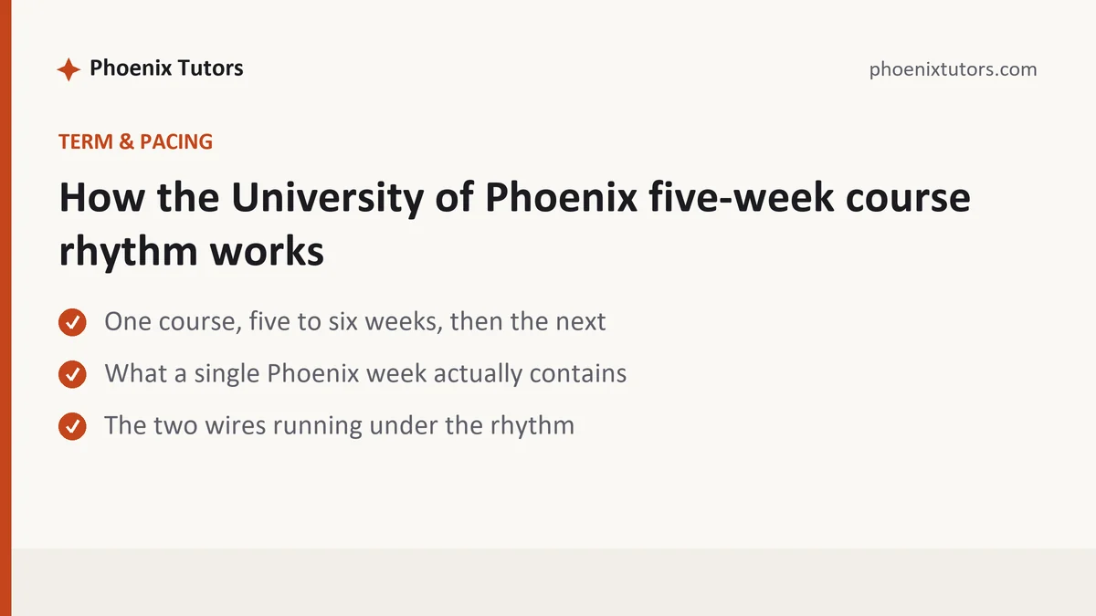 How the University of Phoenix five-week course rhythm works, a University of Phoenix student guide, from Phoenix Tutorship